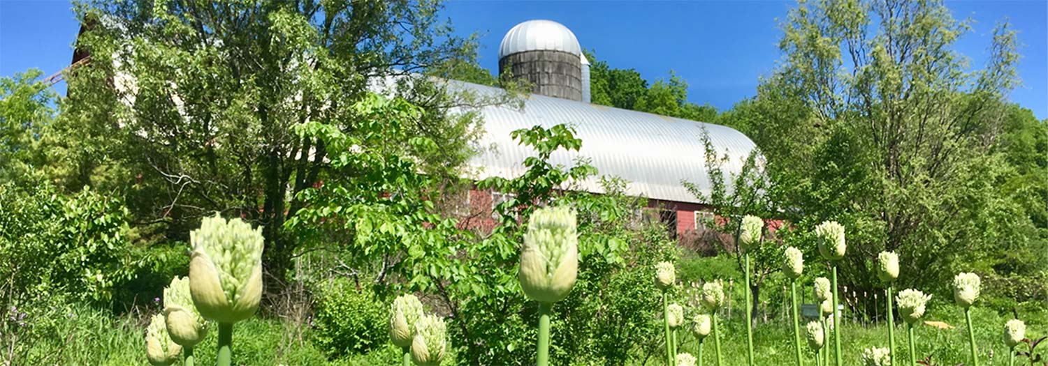 FlowerPowerVT Farm